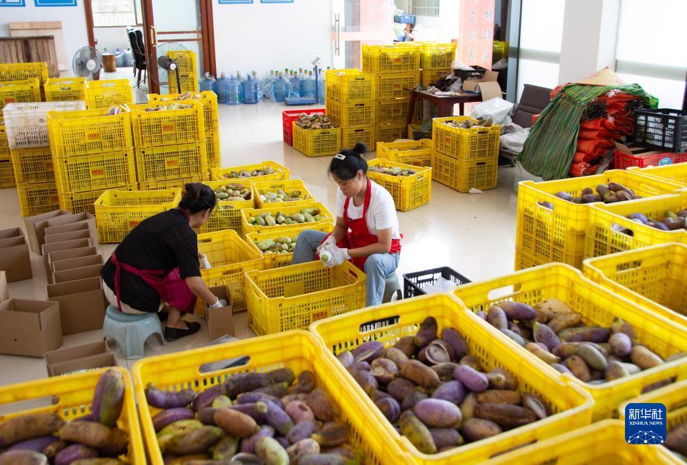 188金宝搏怎么打不开了